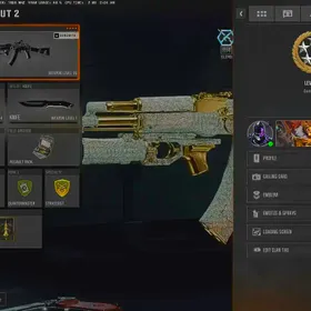 ✨ BO6/WZ4 [ AR/SMG ]💎 7 Diamond Camos ⭐ 7 Gold Camos 🎭 90+ Camos Total ✨ 30+ level 🎉MP Progress ⚡ Fast Delivery  thumbnail 5